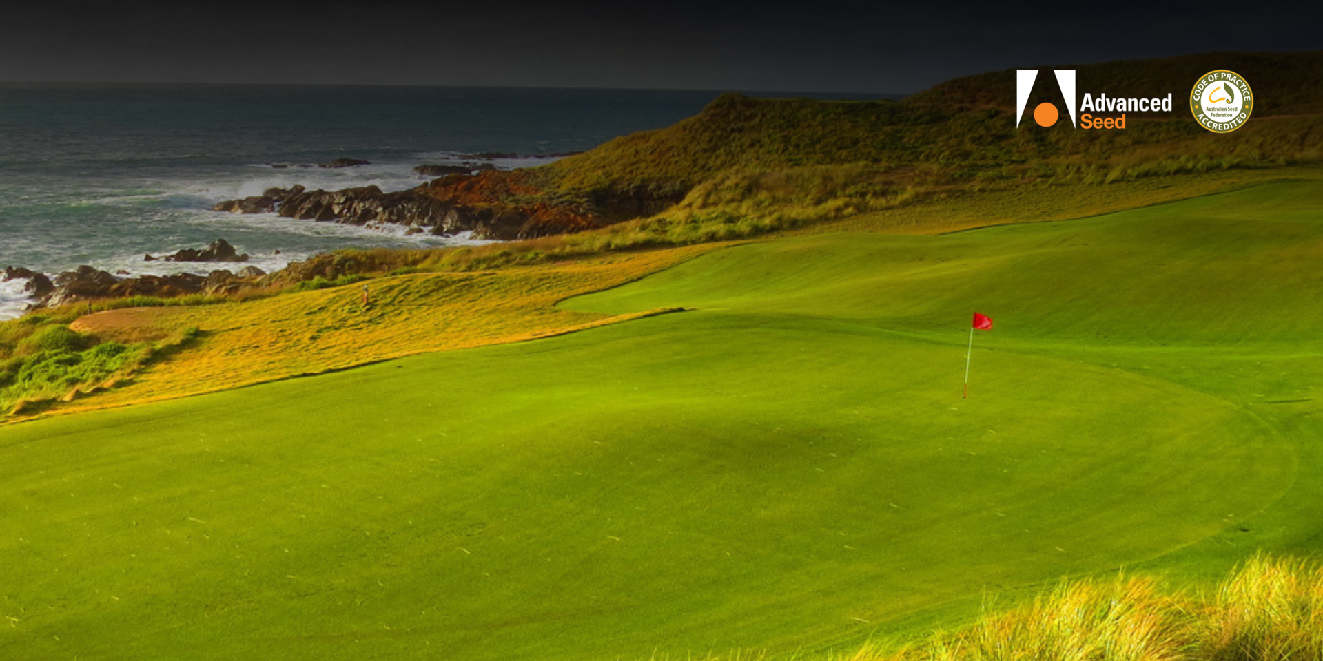 Explore our wide range of turf and lawn seeds for your next project