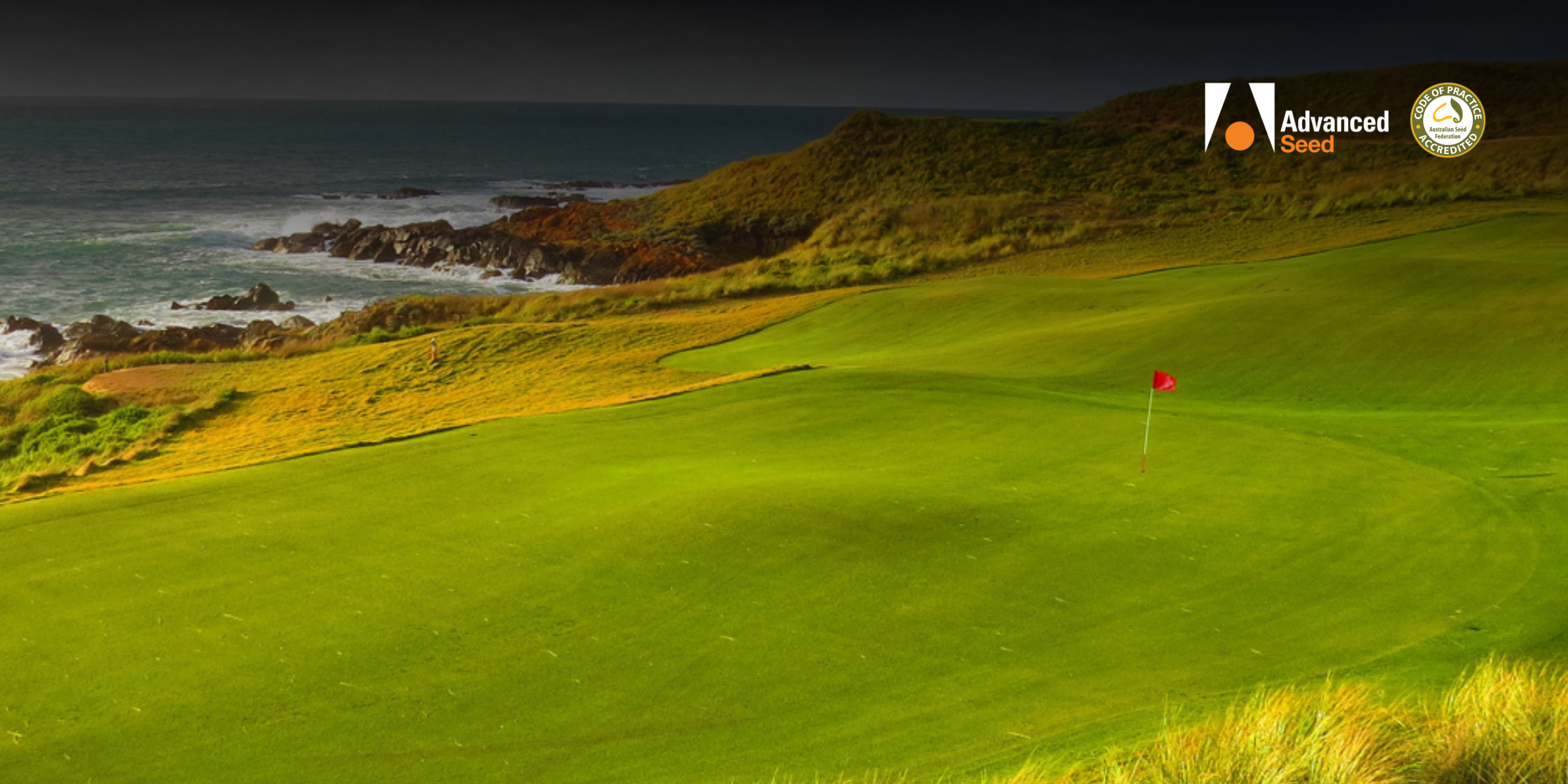 Explore our wide range of turf and lawn seeds for your next project