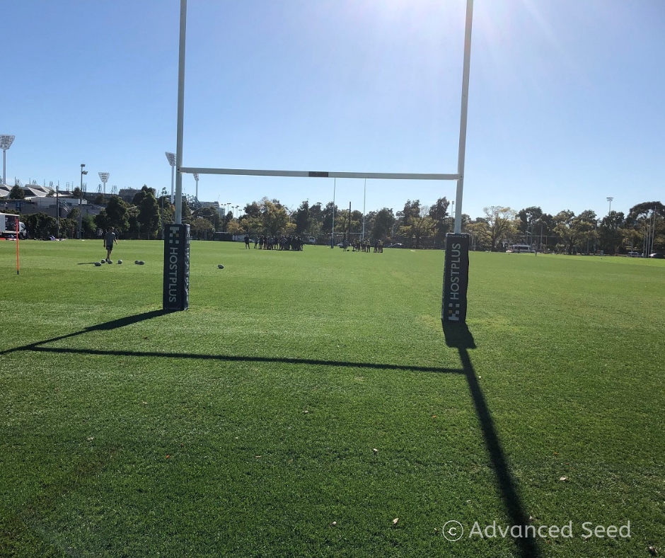 Championship Range Wearmaster Blend