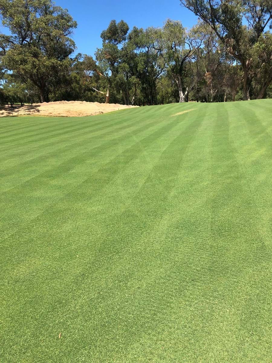 Cottesloe Golf Course