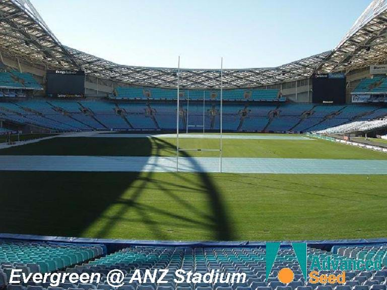 Evergreen Turf Cover ANZ stadium