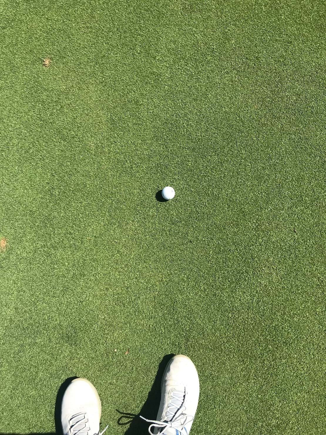 Advanced Seed 777 Bentgrass