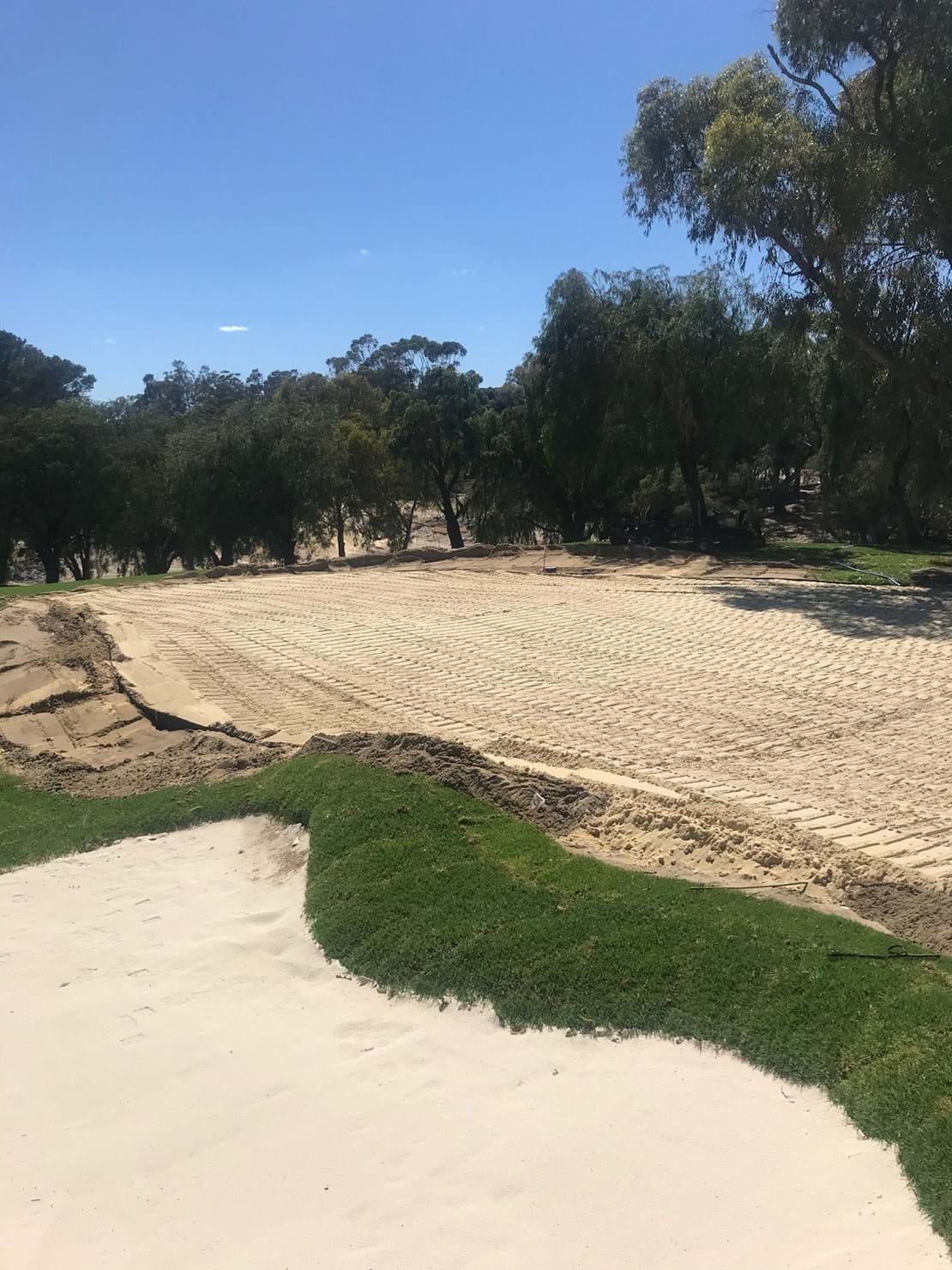 Cottesole GC in Perth, Australia. 5 hole renovation project with 777 Bentgrass green. The photo of the green surface is the 19th green and has been in play for one month.