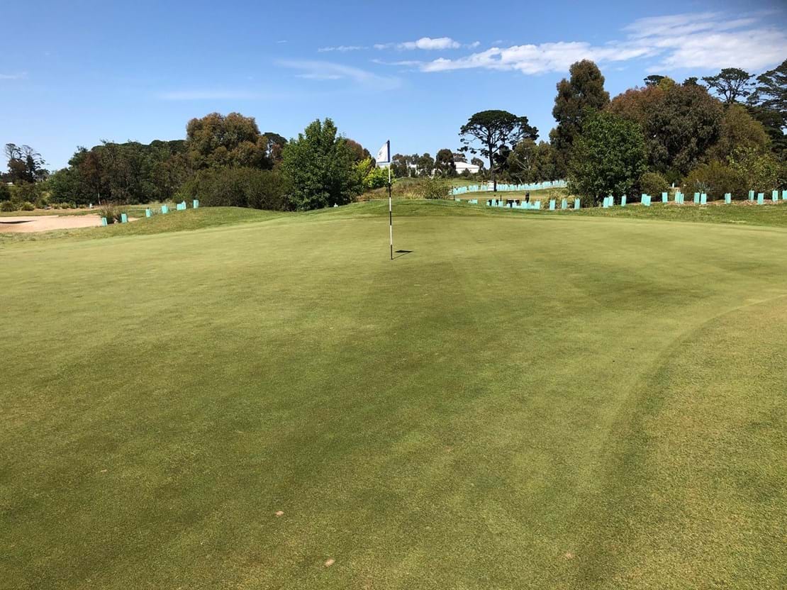 Bentgrass, Advanced Seed, Ballarat Golf Club