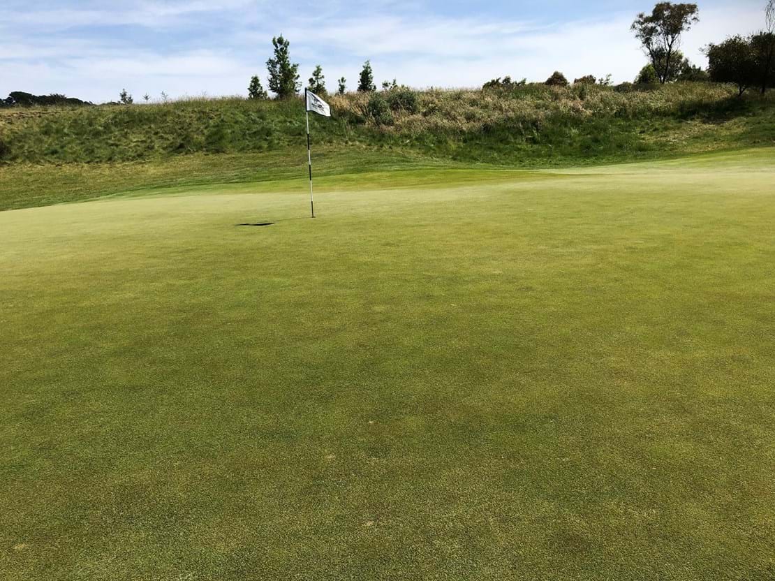 Bentgrass, Advanced Seed, Ballarat Golf Club