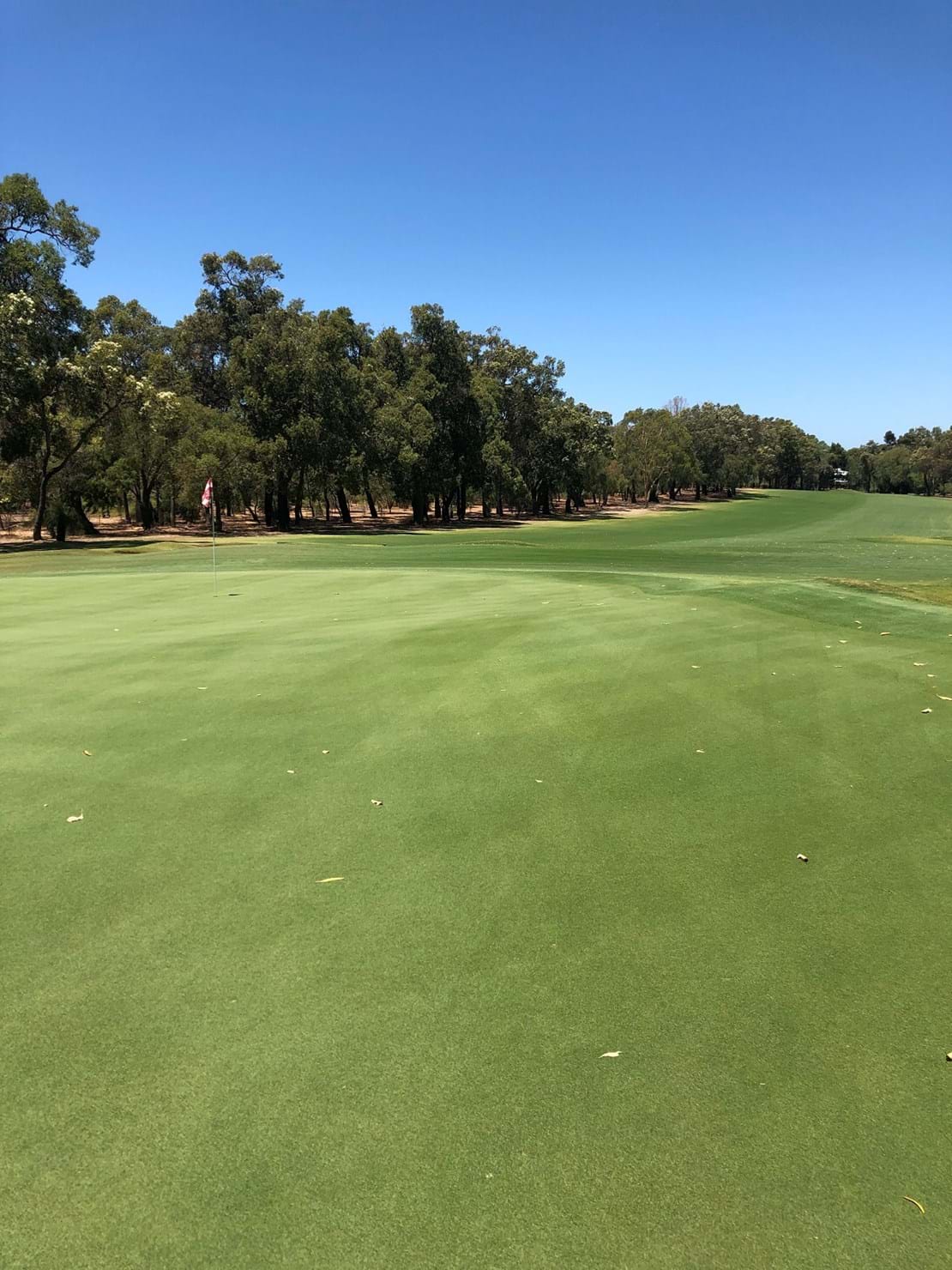 Lake Karrinyup