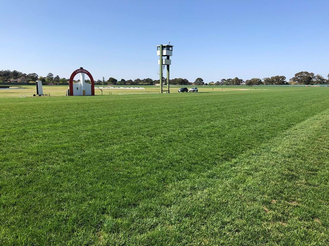 This is a blend of Double Ryegrass, Matilda, Jeta, Bronte and SR2100