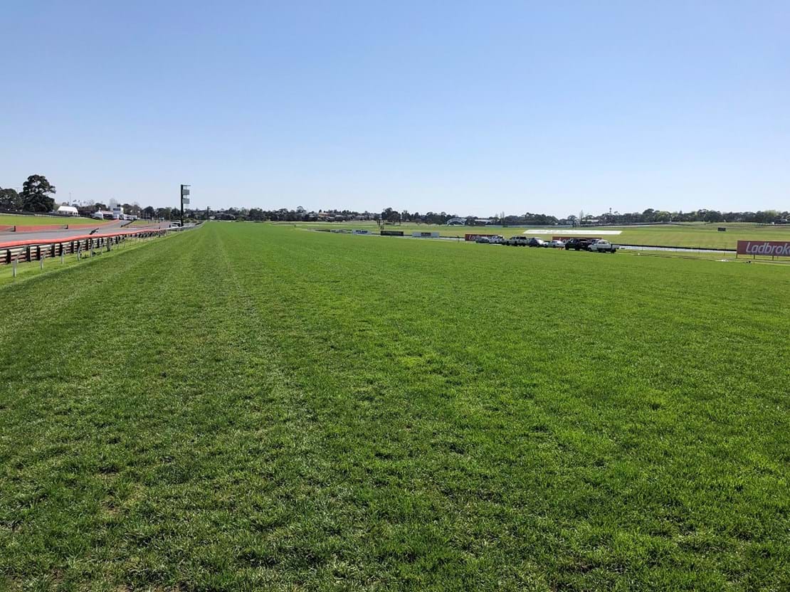 Ryegrass, matilda, jeta, bronte and SR2100 Bluegrass