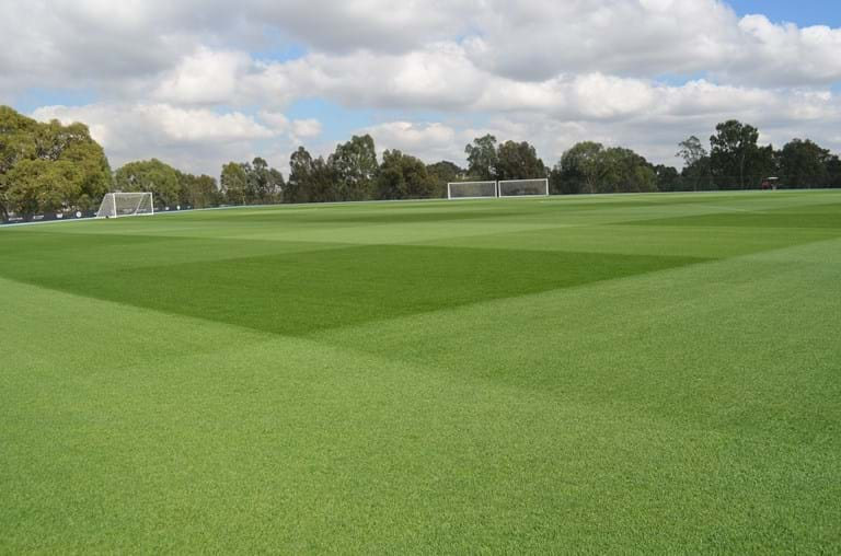 Melbourne City ground Olympic Gold