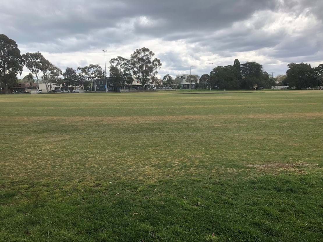 Typical local sports ground in Septebmer. Shows ryegrass being chemically removed from warm season couch grass base.