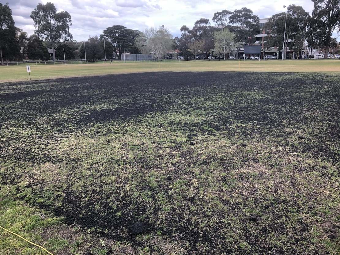 Turf Wicket Prep in Melbourne. Typically requires a to dress with soil, seed and fertiliser in preparation for the cricket season