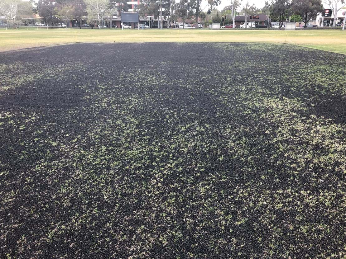 Turf Wicket Prep in Melbourne. Typically requires a to dress with soil, seed and fertiliser in preparation for the cricket season
