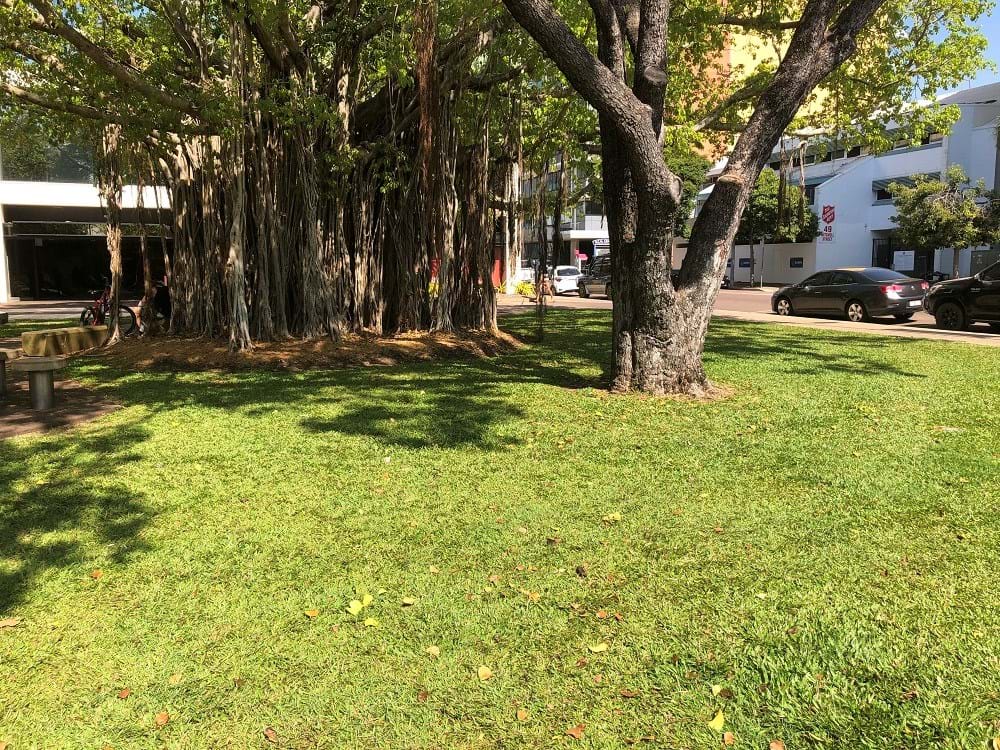 ASF SEED BUSINESS CONFERENCE 2019 DARWIN